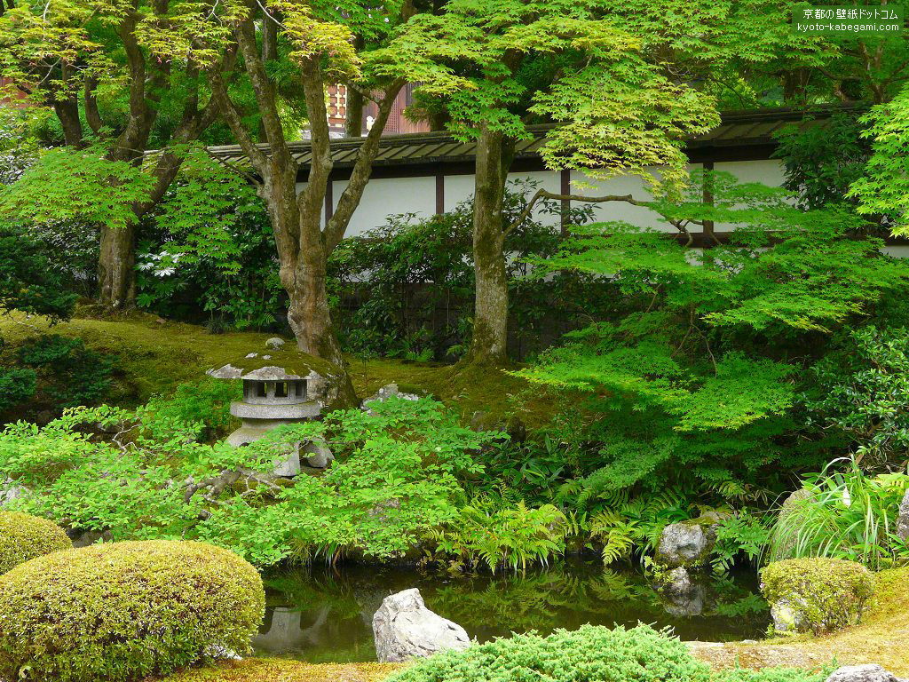 ��O���ǎ�22�@6���̌�����뉀