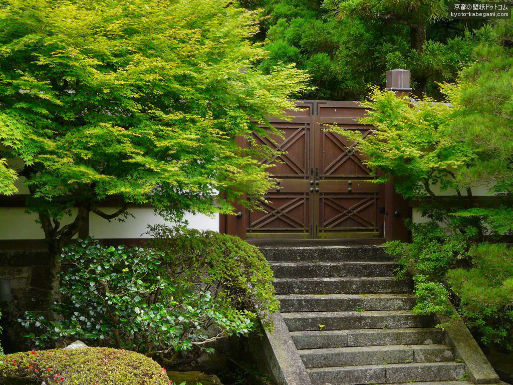 ��O���ǎ�24�@6���̌�����뉀