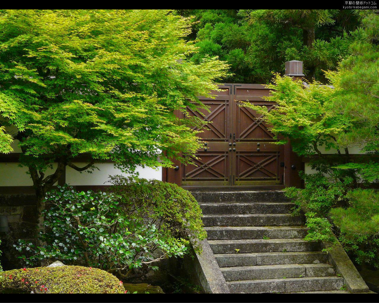 ��O���ǎ�24�@6���̌�����뉀