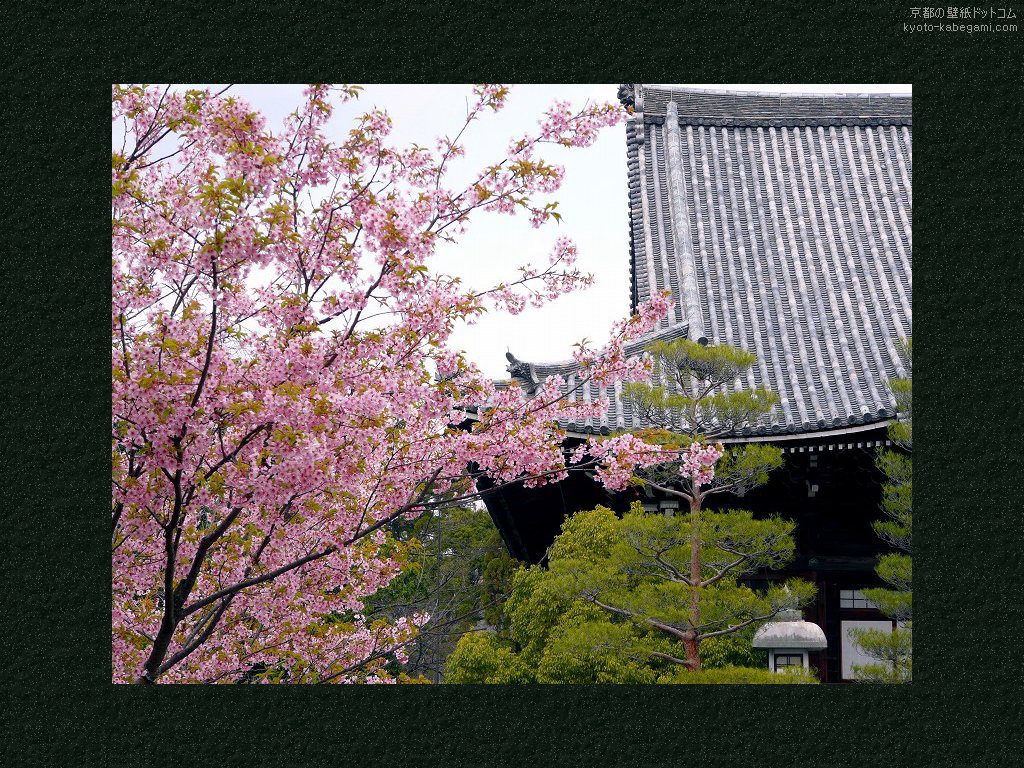 ���y���ǎ�03 �͒Í��Ɩ{��