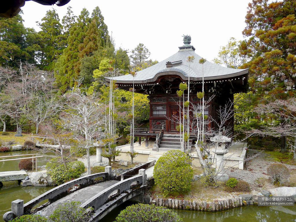 ���y���ǎ�07 �����r�ƕٓV��